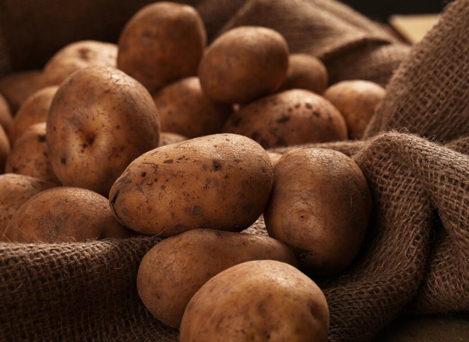 В Волгоградской области собрали почти 172 тыс. тонн картофеля